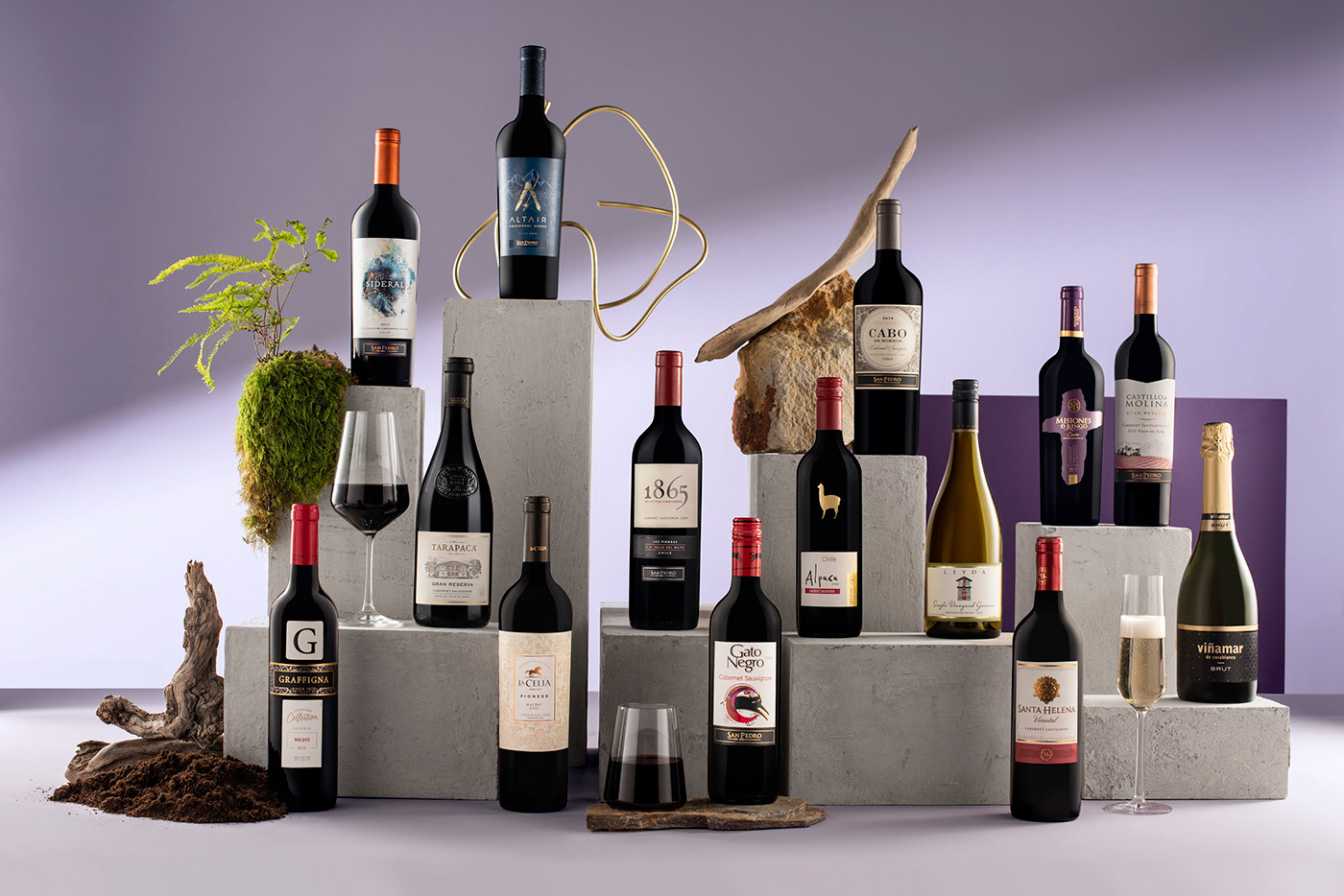 Full wine portfolio — light editorial shot
